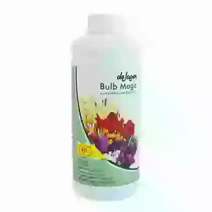 Bulb Magic